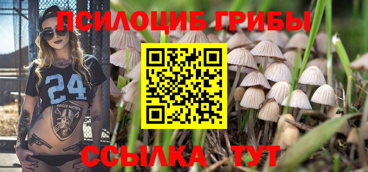 Галлюциногенные грибы Psilocybe  Вход с VPN  Майкоп  Галлюциногенные грибы GOLDEN TEACHER 
