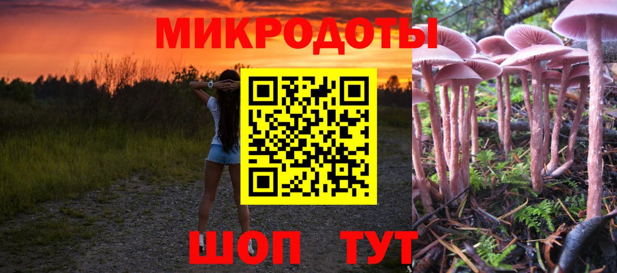 Псилоцибиновые грибы GOLDEN TEACHER Майкоп